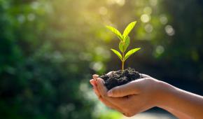 Environnement, Divertcity, Espace verts, biologique